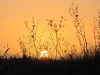 34-IMG_3029