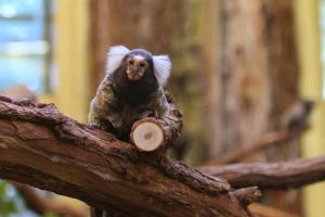 Zoobesuch im Juni 2014
