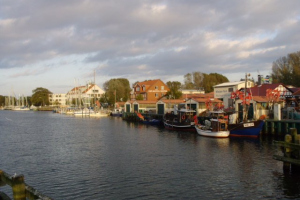 Greifswald 2011
